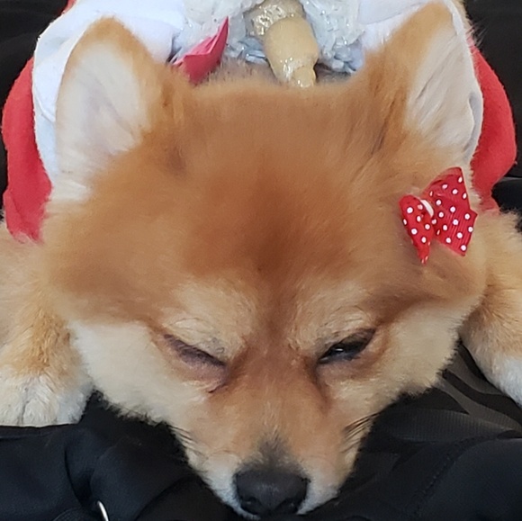 Hi I'm Christina! Welcome To My Closet! - Picture 7 of 8